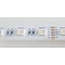 Lichtforum Led strip RGBW WP 120 leds p/m 24VDC 19.2w