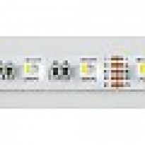  - Lichtforum Led strip RGBW 60 leds p/m 24VDC 19.2w