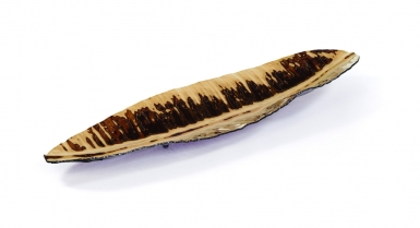 Regina medeiros Folha de bananeira bronze Pequena
