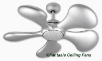  - Fantasia Splash Ventilator